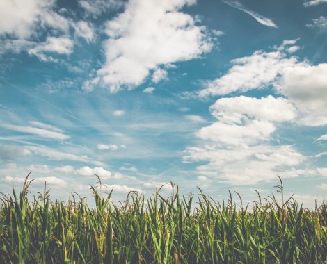 clouds-cornfield-countryside