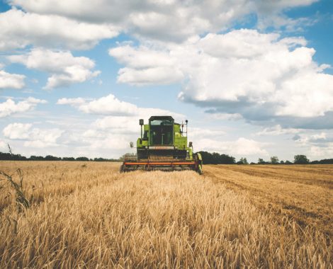 combine-harvesting